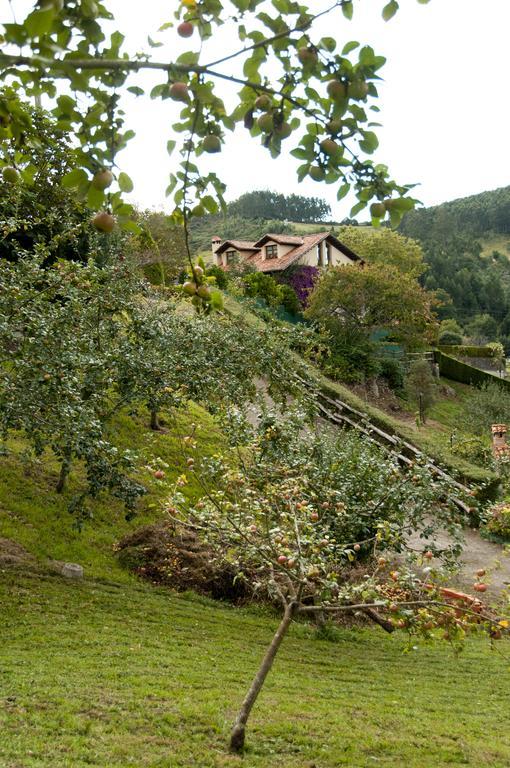 Trisqueles Y Buganvillas Villaviciosa  Exteriér fotografie